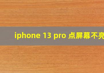 iphone 13 pro 点屏幕不亮